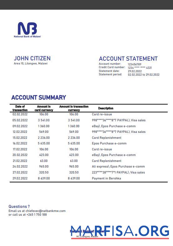 Printable Malawi National Bank of Malawi bank statement word template